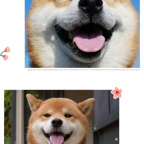 笑一笑//忧愁少