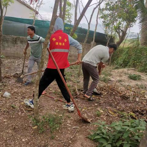 陈龙村人居环境卫生整治工作