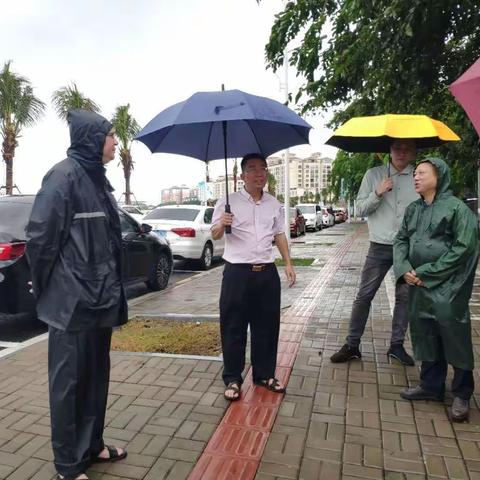 区政府副区长、区副总河湖长林尤回同志开展检查辖区内河（湖）工作情况