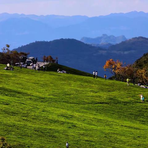 武陵山景 草原风情