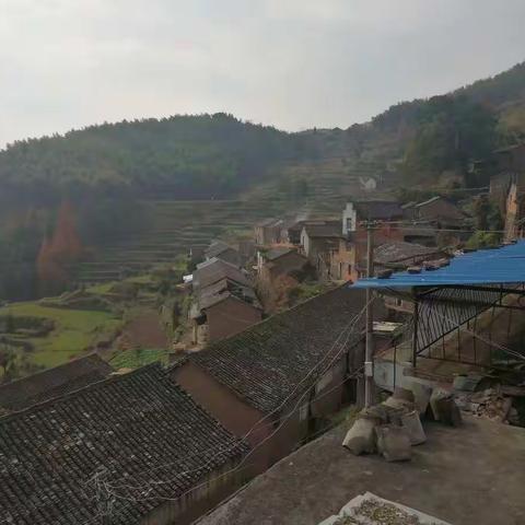 《乡愁》之二 文/无名草