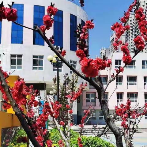 收获满满，乐趣多多，精彩连连------三八班假期作业展示