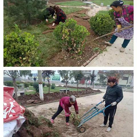 抢抓秋日好时节，魏寨街道再推花园乡村建设