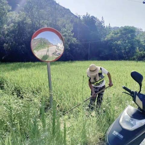 湖边镇公路养护站7月工作动态