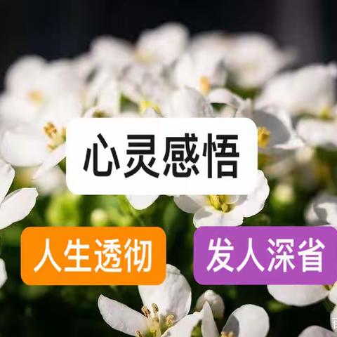 ♥️🌹【精辟人生感悟】：🌹♥️一种年龄，一种心境，一种感悟！🥰🌟🎉