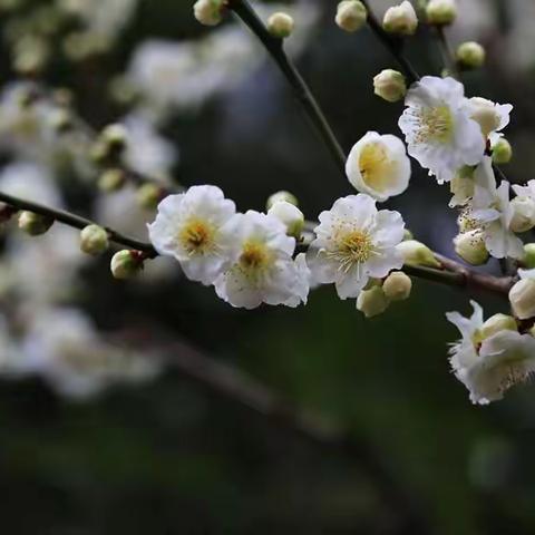 梁山县第一实验小学教育集团三实小校区学科教师基本功大赛