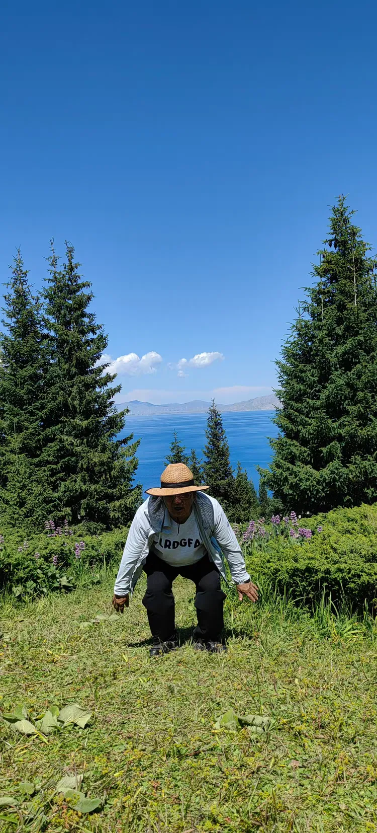 赛里木湖松树头怎么拍照，旅游帮手