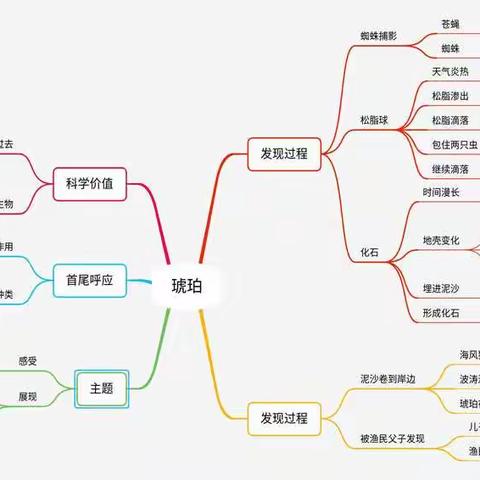 四年级语文《琥珀》