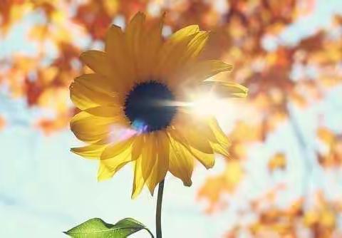 新城区房地产管理所2月19日工作动态