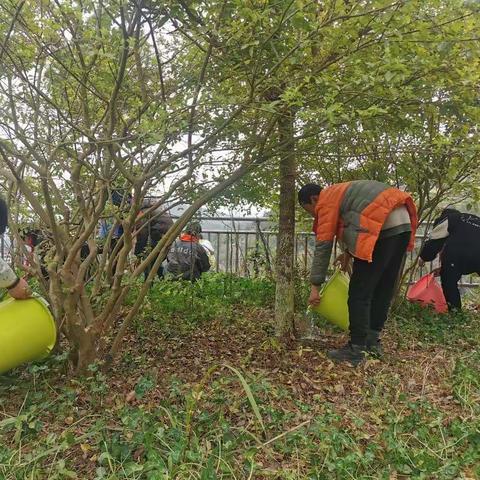 水口小学开展植树节主题活动