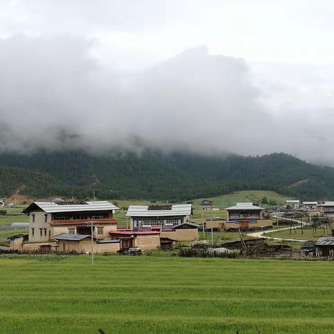 吉迪村松茸市场松茸文化展示墙广告位招租通知