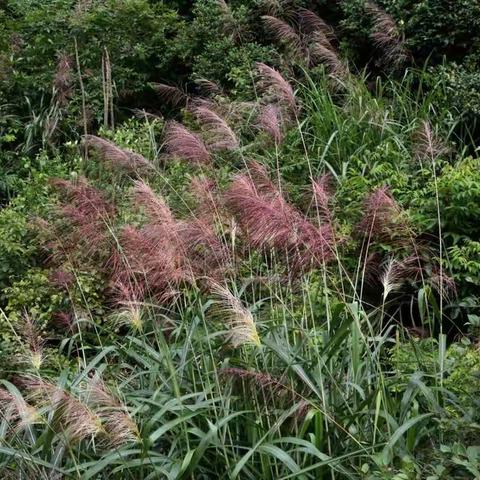 游玩怪石岭“长城”