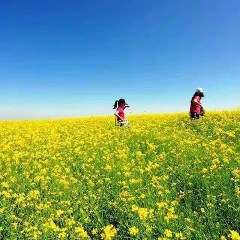 停课不停学，我们在行动——马头小学六年级数学学习记录