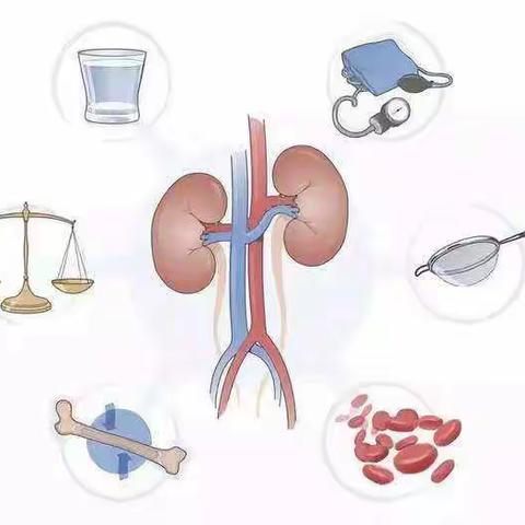 不一样的世界肾脏病日