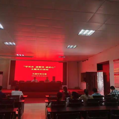 那大镇石屋村党支部开展主题党日暨党史学习教育会议