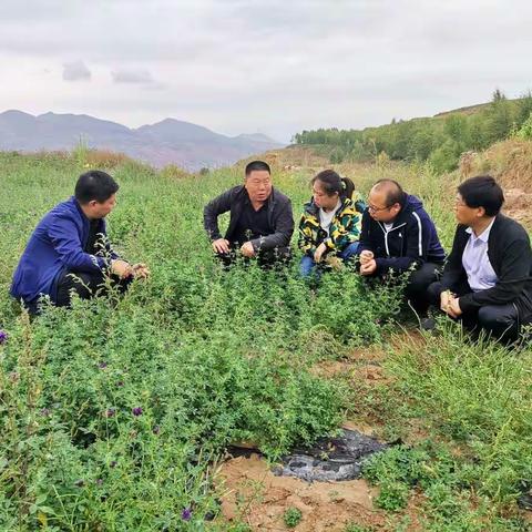 省饲草料技术推广站前往乐都区开展“我为群众办实事”活动