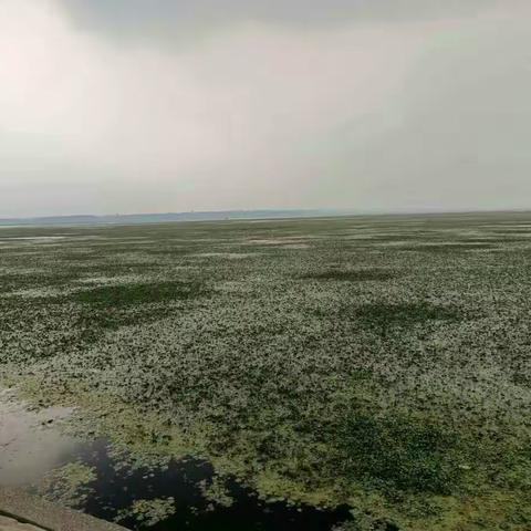 漳泽湿地公园