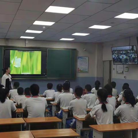 银川市兴庆区第二十三小学“在线课堂”架起优质教育资源共享的桥梁