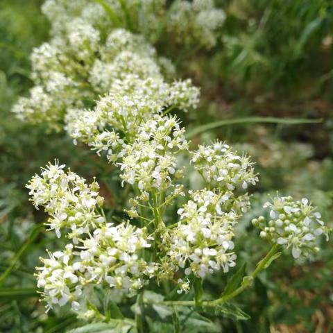行走在田野间，陶醉在大自然