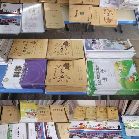 以观摩促规范，以规范促提升——龙海乡再邑小学常规观摩活动纪实