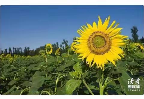 春日共研一树繁花，教学沉醉一路芬芳——应县三中抓教研、培优师、践“双减”系列活动（一）