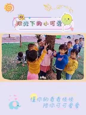 城北村第二幼儿园 小六班快乐回忆🎈