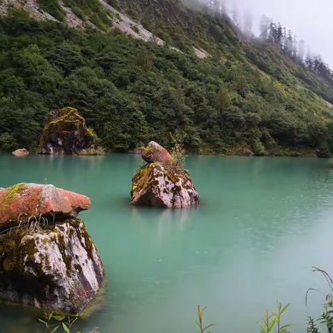 一路向西～川西Ⅲ（海螺沟，新都桥）