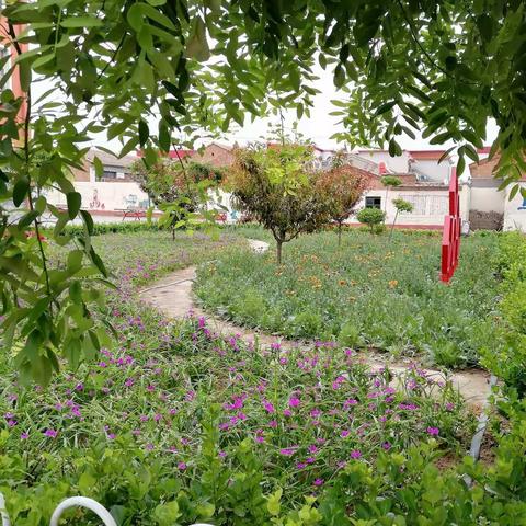 一路同行，且歌且舞——文安一小2020--2021学年度第一学期语文教学工作总结