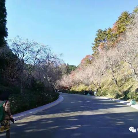 贝聿铭大师美秀美术馆随拍