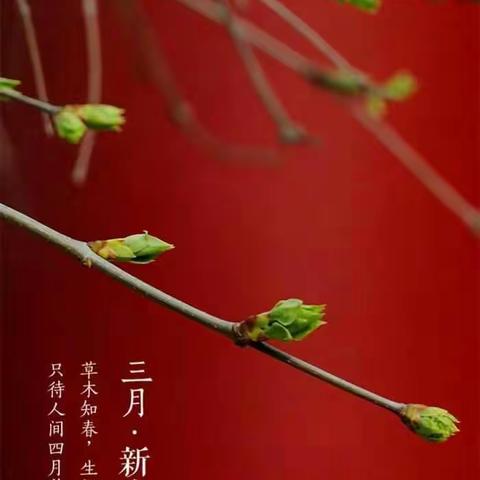 零点体育，助力七彩梦！