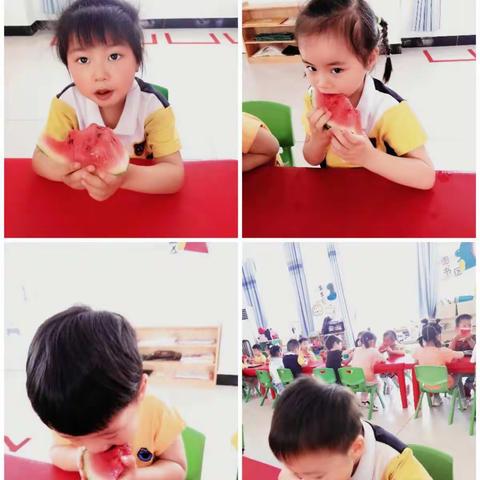 《我们发芽🌱啦》我们2022年的春夏秋冬