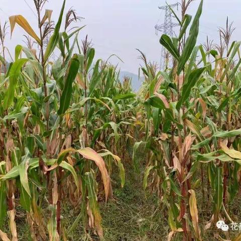 【2019冬季户外大课堂】 12月14日(星期六），冬季拓展 ;走进田园，体验农耕生活