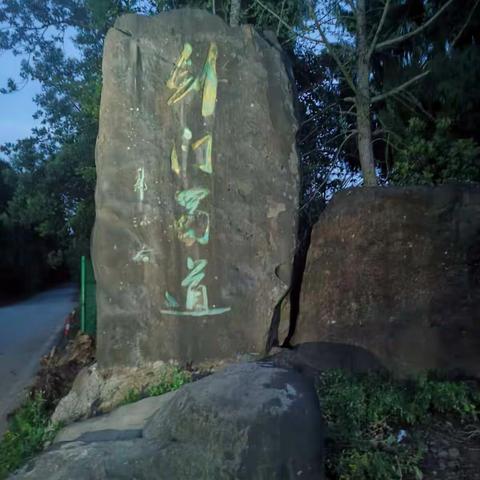 蜀道归来不看路(一)