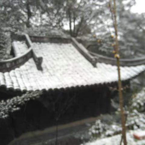 缙云踏雪