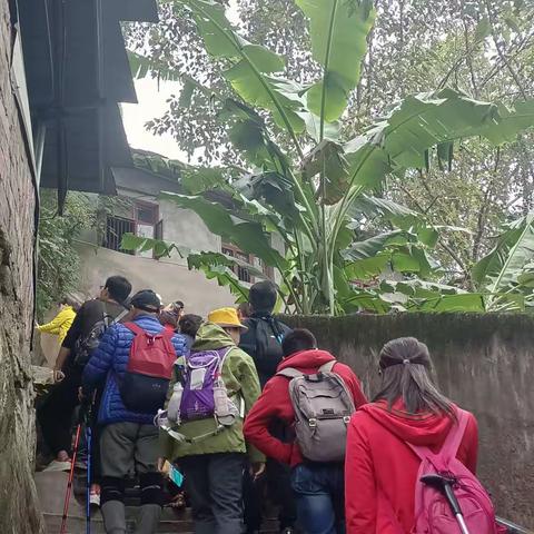 斜风细雨不须归