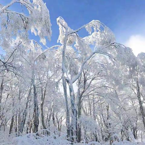 小一班冰雪大世界