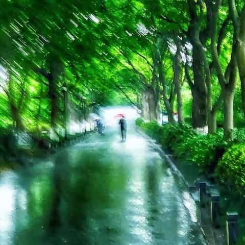 林妹妹啊林妹妹