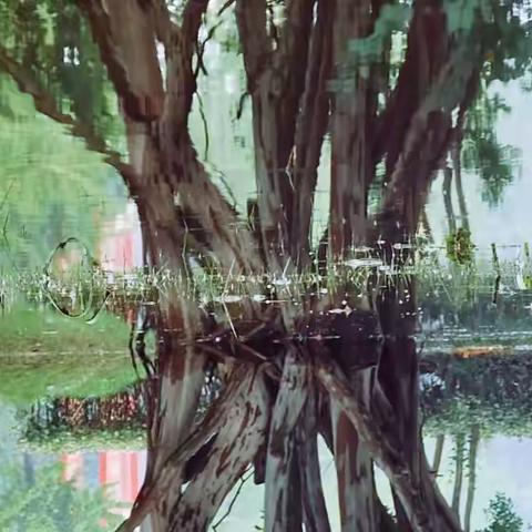 也许诗就是草