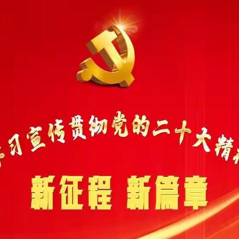 医疗卫生健康行业社会组织联合党委组织召开第五次党委会议，传达学习贯彻“二十大”精神