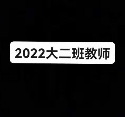 2022大二班教师介绍