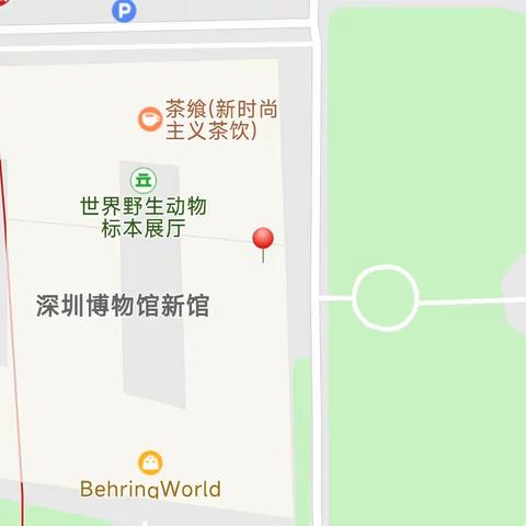 🌸深圳博物馆🌸