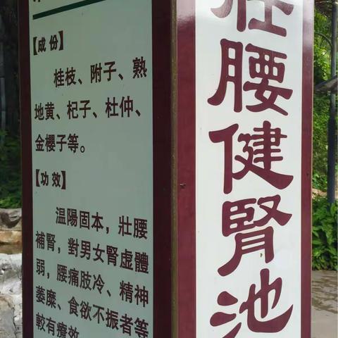 龙门铁泉“亚洲第一泉”（四）温泉区有108个不同功效的温泉池，富含大量的铁元素和其它矿物元素，汤色金黄。