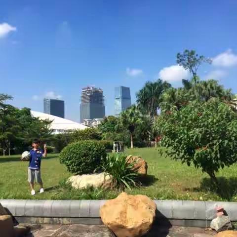 我们家的后花园，秋天的阳光，秋天的花朵，秋天的生物，秋天的玩耍。