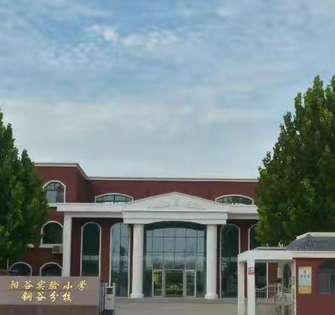 我运动  我健康   我快乐——记阳谷铜谷小学第七届趣味运动会
