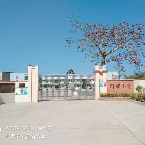 潭西镇新埔小学防控疫情物资募捐倡议书