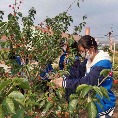 润物细无声 习惯早养成一一尧头小学习惯养成活动