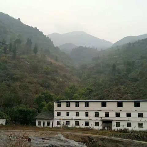华蓥山绿化美化彩化规划设计