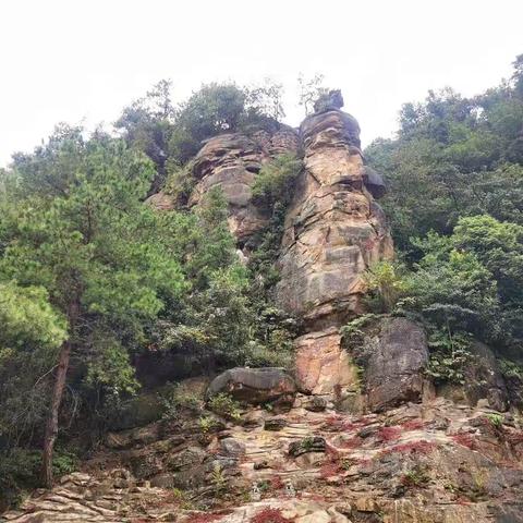 明月山绿色发展示范带考察记