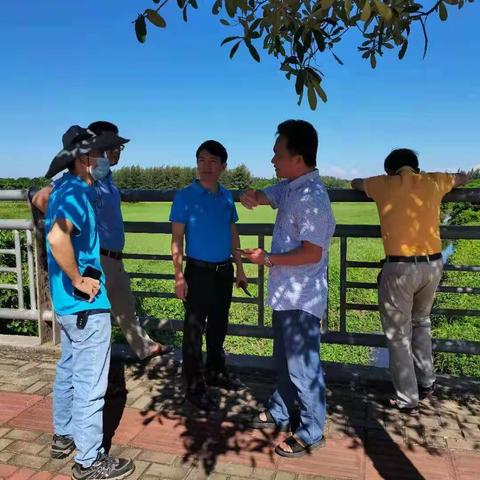 海口桂林洋经济开发区管理委员会督查整改反馈