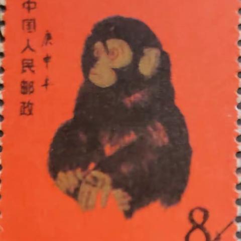 大树的美篇